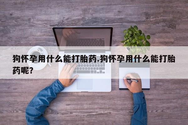 打胎药私人专卖微信网上药店狗怀孕用什么能打胎药.狗怀孕用什么能打胎药呢？