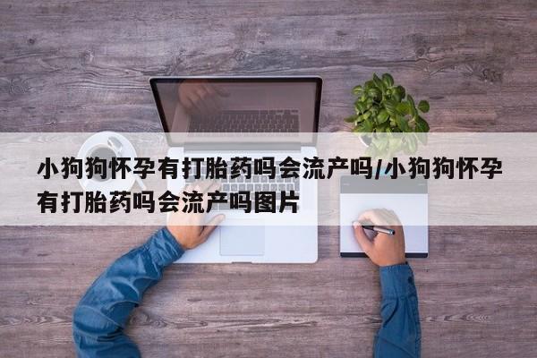 打胎药私人专卖微信网上药店小狗狗怀孕有打胎药吗会流产吗/小狗狗怀孕有打胎药吗会流产吗图片