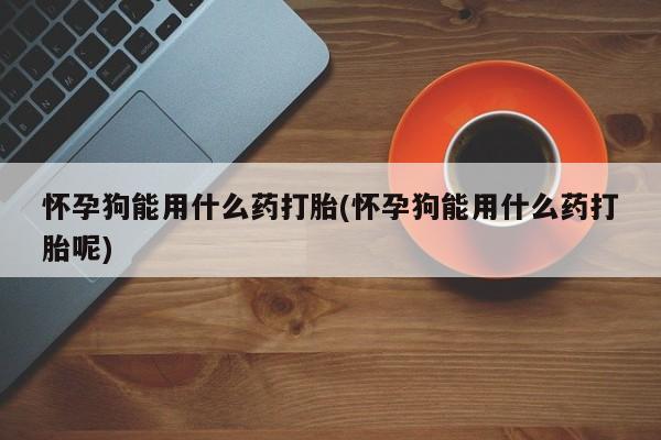 打胎药私人专卖微信网上药店怀孕狗能用什么药打胎(怀孕狗能用什么药打胎呢)